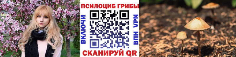 Галлюциногенные грибы MAGIC MUSHROOMS  Купить  Агрыз 