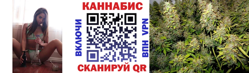 Купить закладки  Агрыз  Каннабис VHQ 